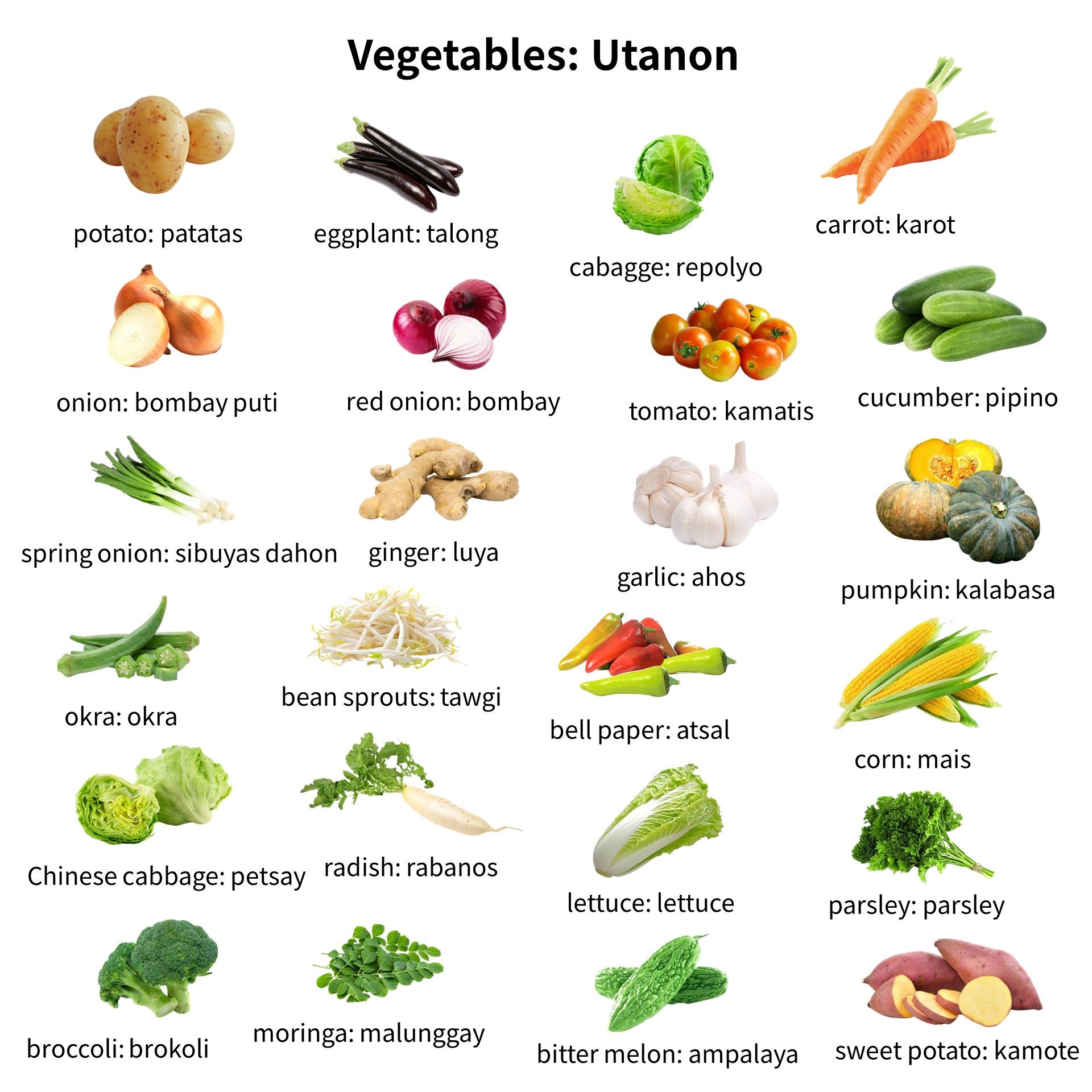 24 Popular Vegetables Vocabulary in Bisaya (Cebuano) | サムライビサヤ